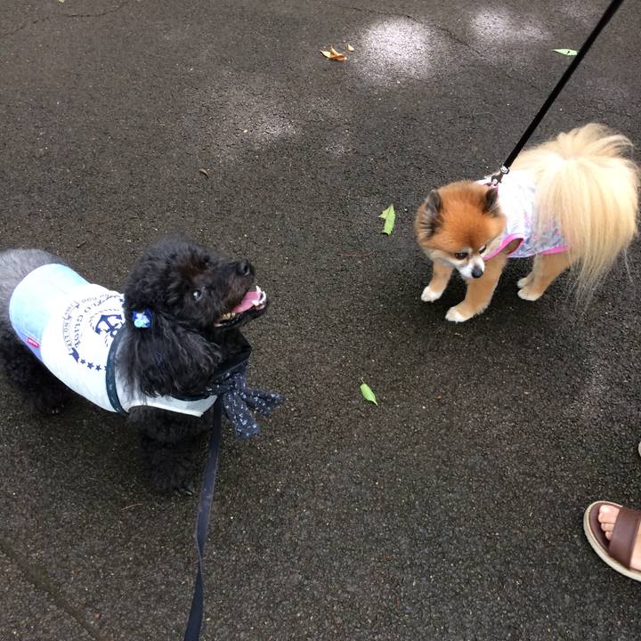 E070eb76 b464 49b0 8b59 c43bf12b8347