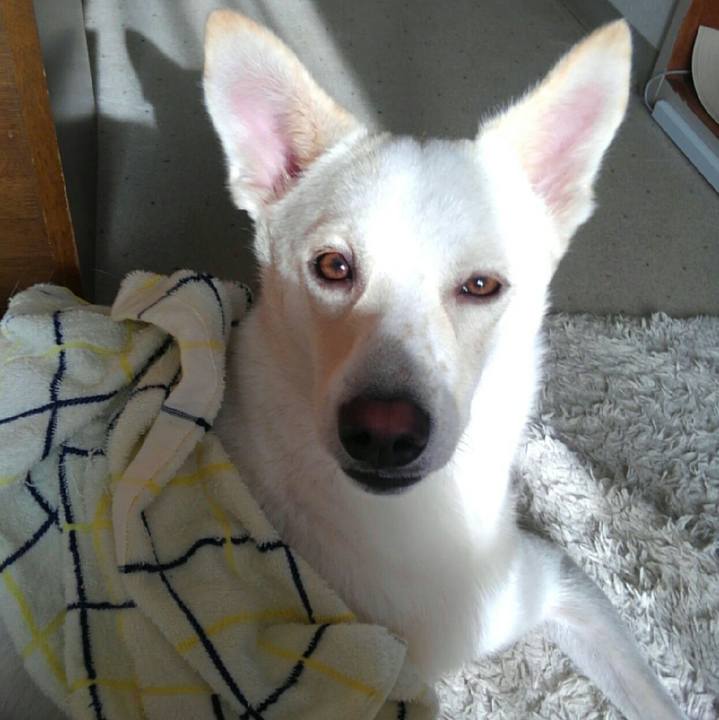 E0718360 37ca 433b ba40 061ce308e422