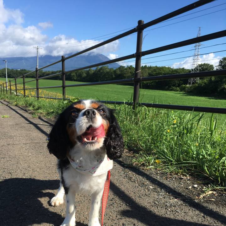 E071cf7b 54d0 41e2 bfd1 ac9a45edf65c