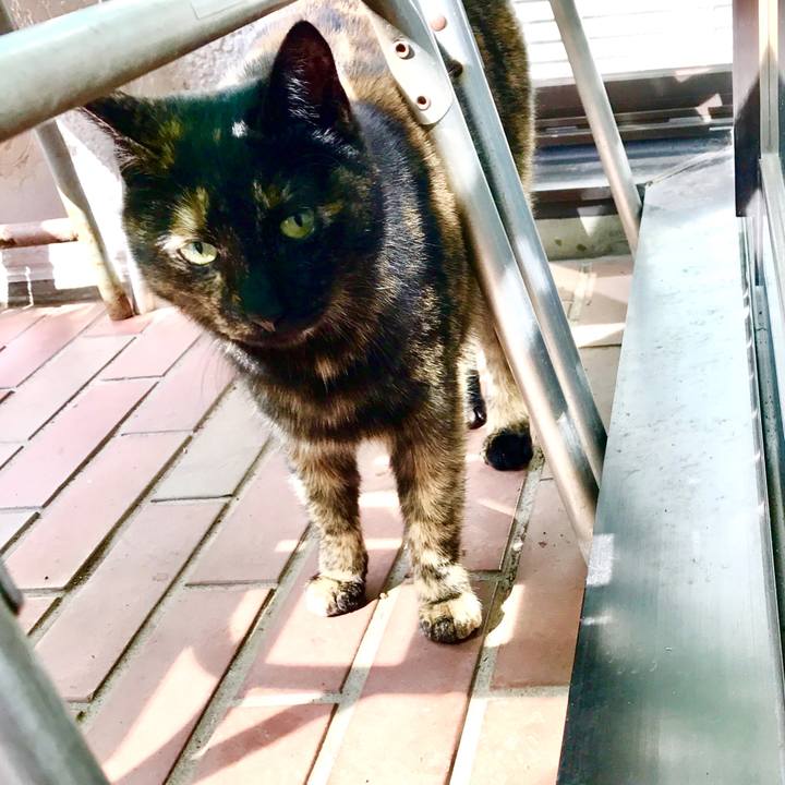 E07220b0 2ced 42ec 948f 73b2b00bef9f