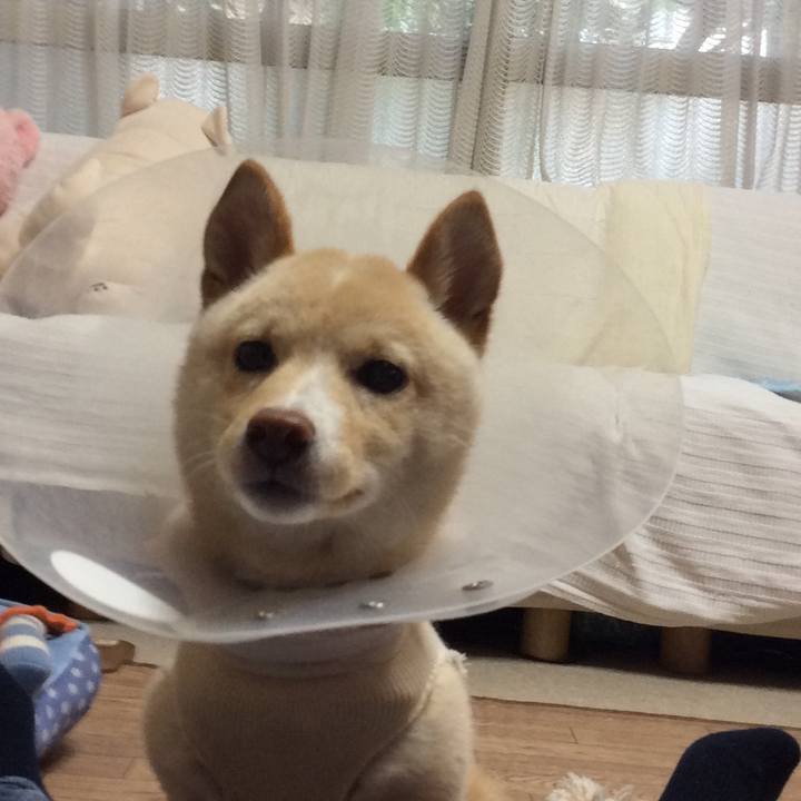 E072b398 e09f 44bf a4b5 b0e8eebca328