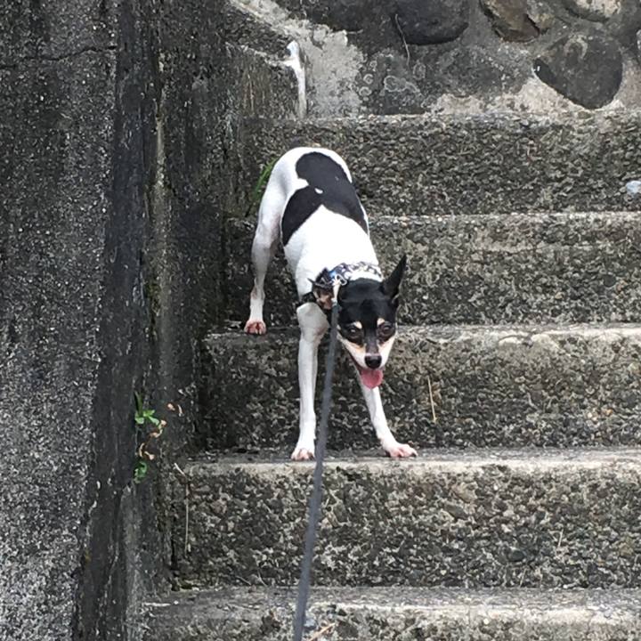 E072d21a 0e2d 4a30 858e 43ed41a9b9d3