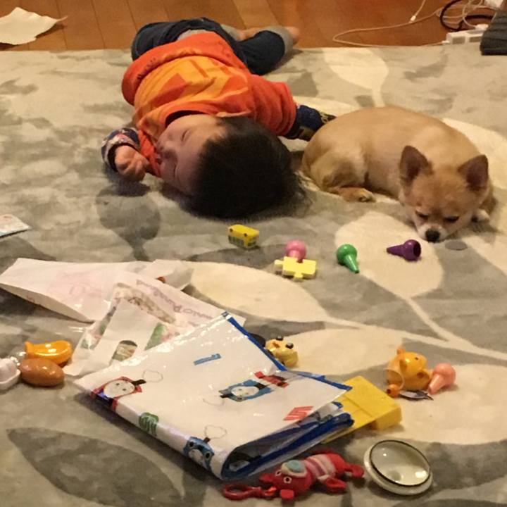 E072e6d3 f1e3 49de 82d7 9df2331b1d25