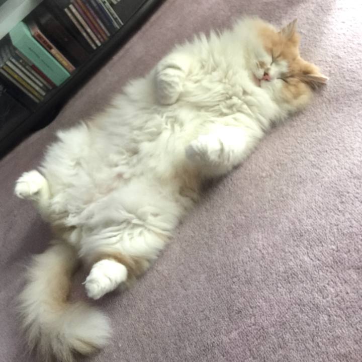 E073b5b7 5563 4a61 af35 bdad77e99628