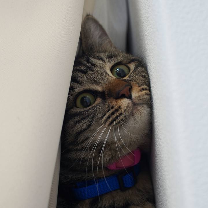 E073d3ef 418d 47af a21c 351d8a0b2336