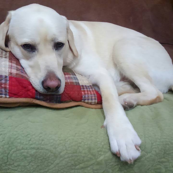 E0741463 75f1 4f71 92c4 19fdfa3174c6