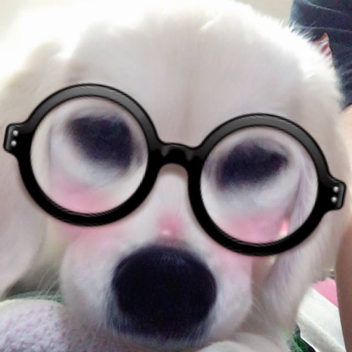 E0748379 afa6 4ff5 8ca8 46eaa673454e