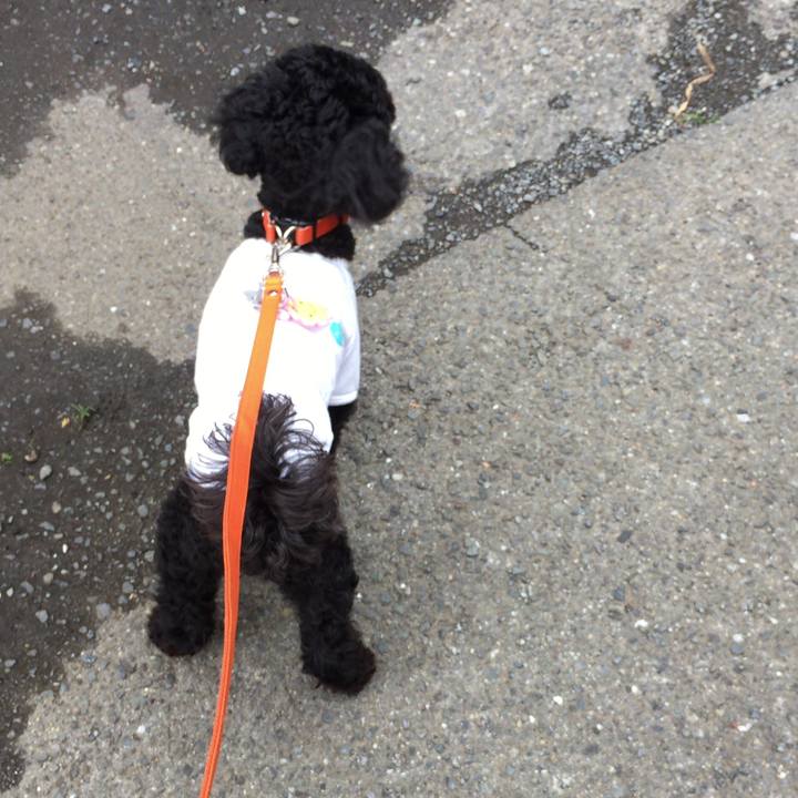 E074869c 4119 4438 bf53 13873d5f27cc