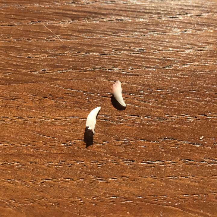 E074ab1f f835 4feb b53b 6dd61c95ce1b