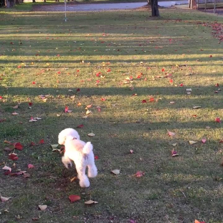 E074d584 a6e5 43cb 880f 0852eb7464f6