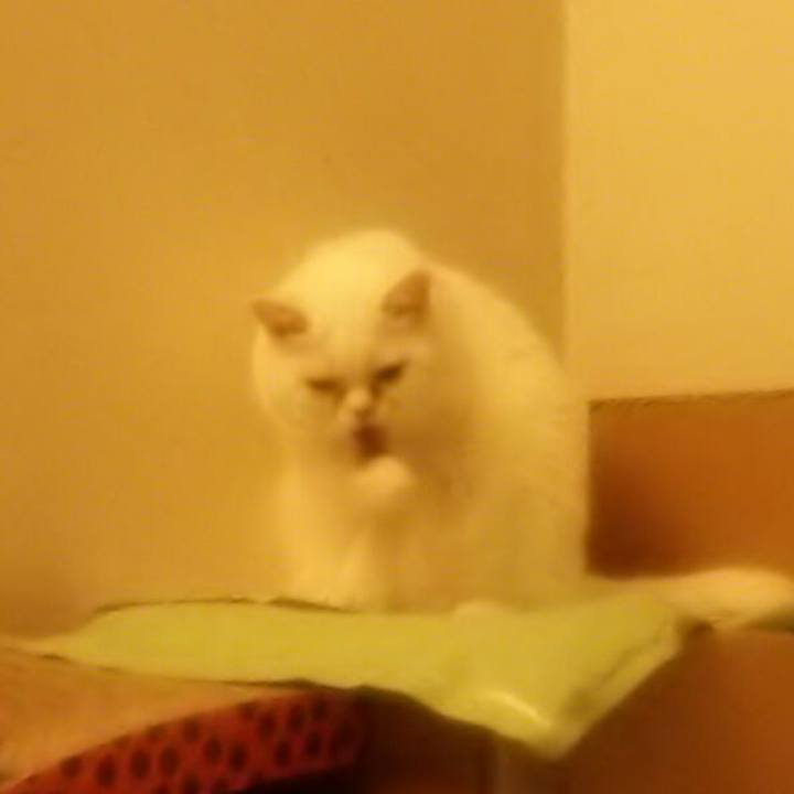 E074da0e 25c1 4dce b181 6fe7541d37ea