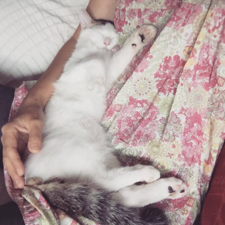 E074e7f6 511e 4351 b159 e5cac9ca94fa