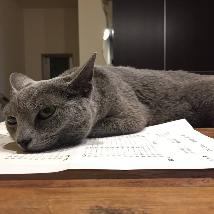 E075f34a 3664 4066 b0b2 7fe8c547eafb