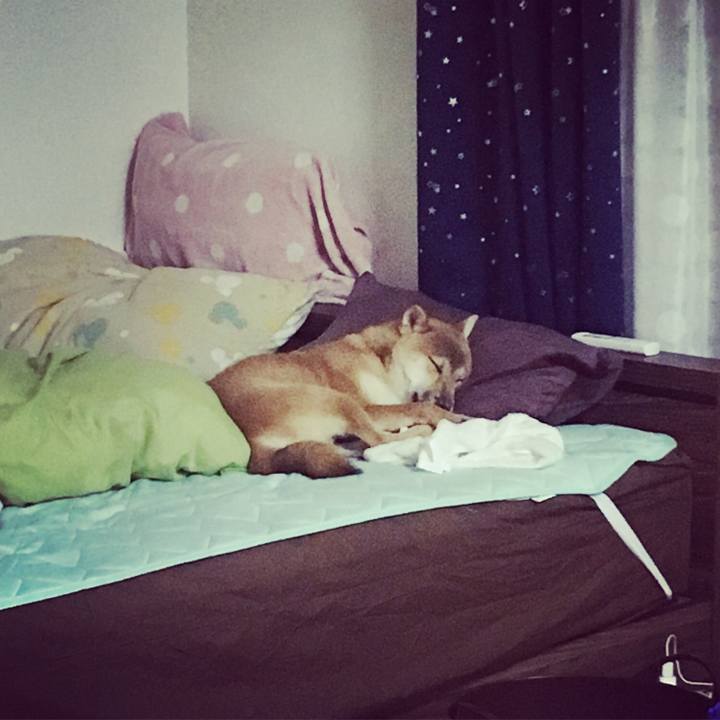 E076890f 73c1 4aeb a609 894764d84398