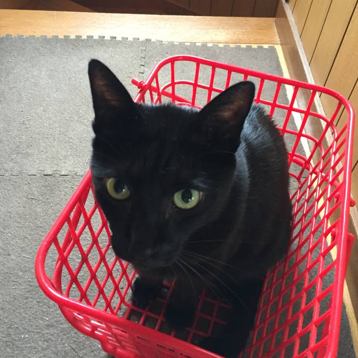 E0782aef b74b 42e1 ae1b 095d76f83874