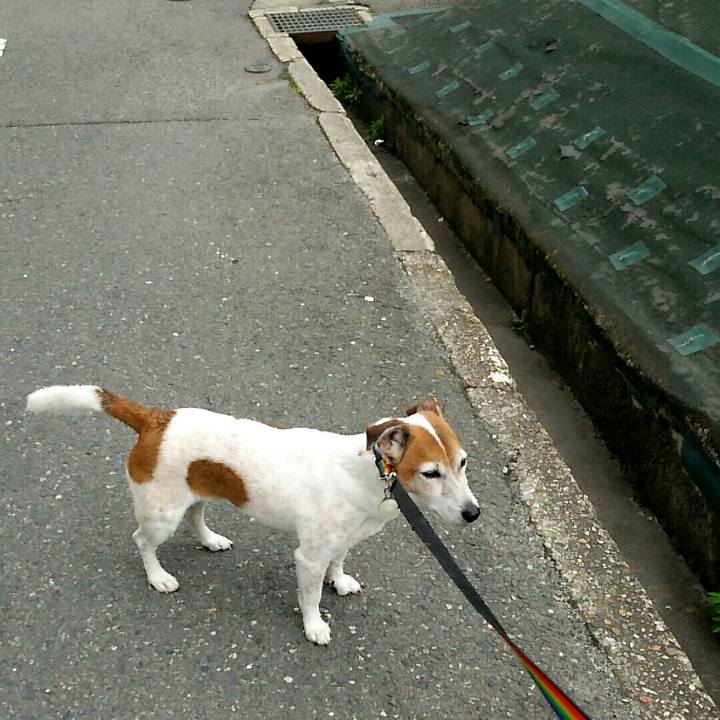 E078594d 0ca6 48f5 b47b f2598d23bef5