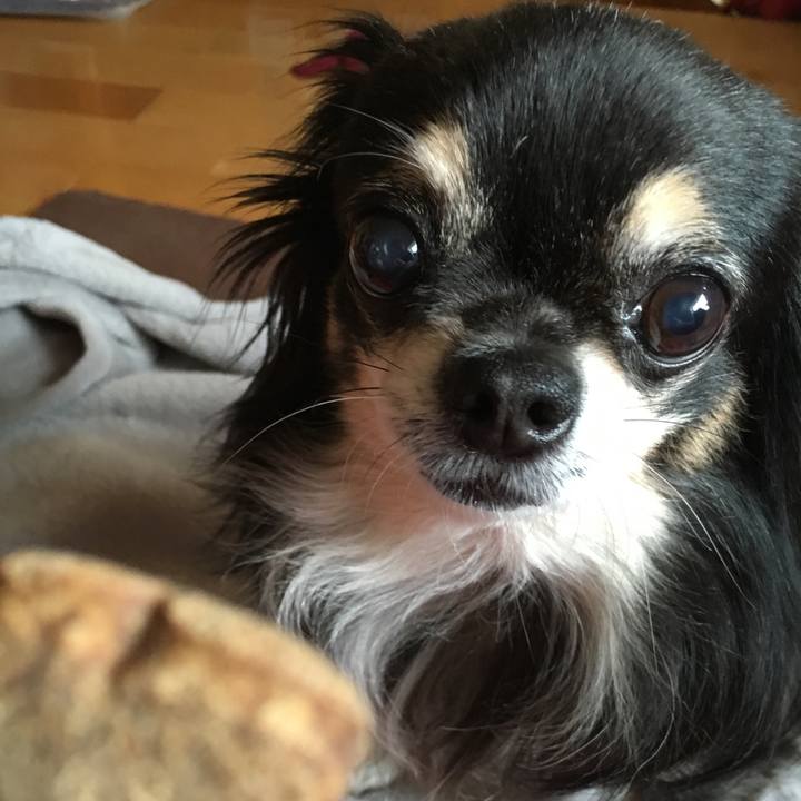 E078bd87 f6b9 4c21 a97d 65b8505a14c6