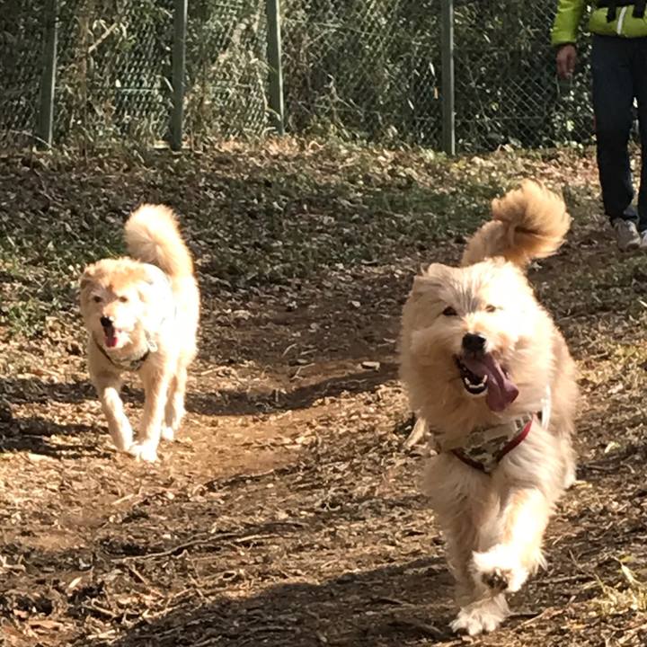 E078f00e 79e3 4729 a04c 3ecf668dba89