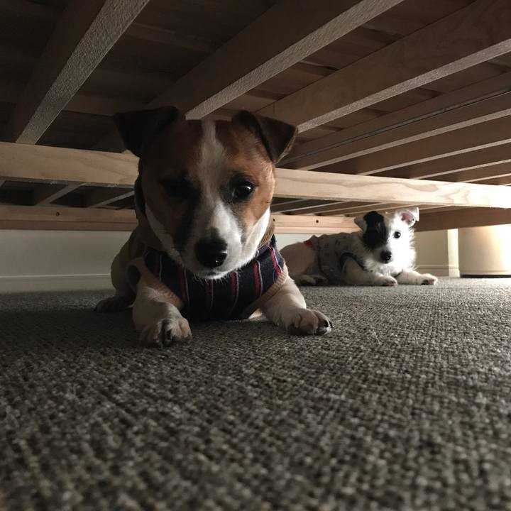 E079c4a0 7f0e 4df4 9129 5cfc612f2a5a