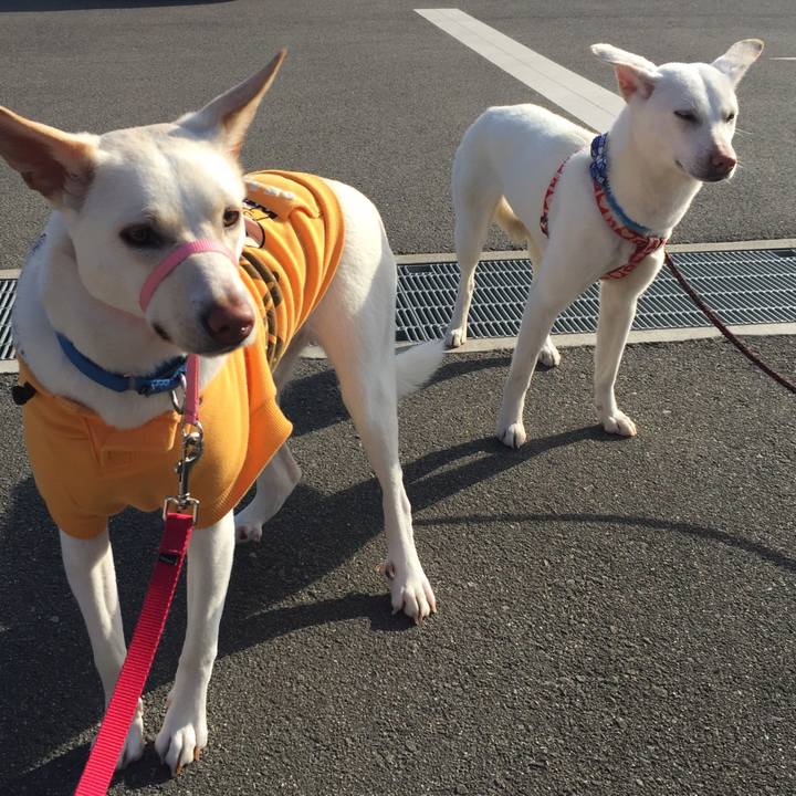 E079e1f6 3338 4392 b061 91db07f28ff3