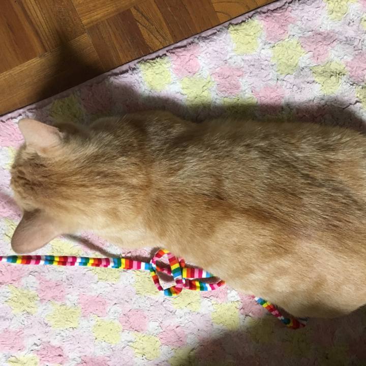 E07ae3c4 8cd0 4a57 89b5 1122ddf8f6a1