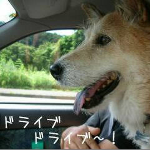 E07aef86 bf17 4919 b525 a2f1c2bc5cc5