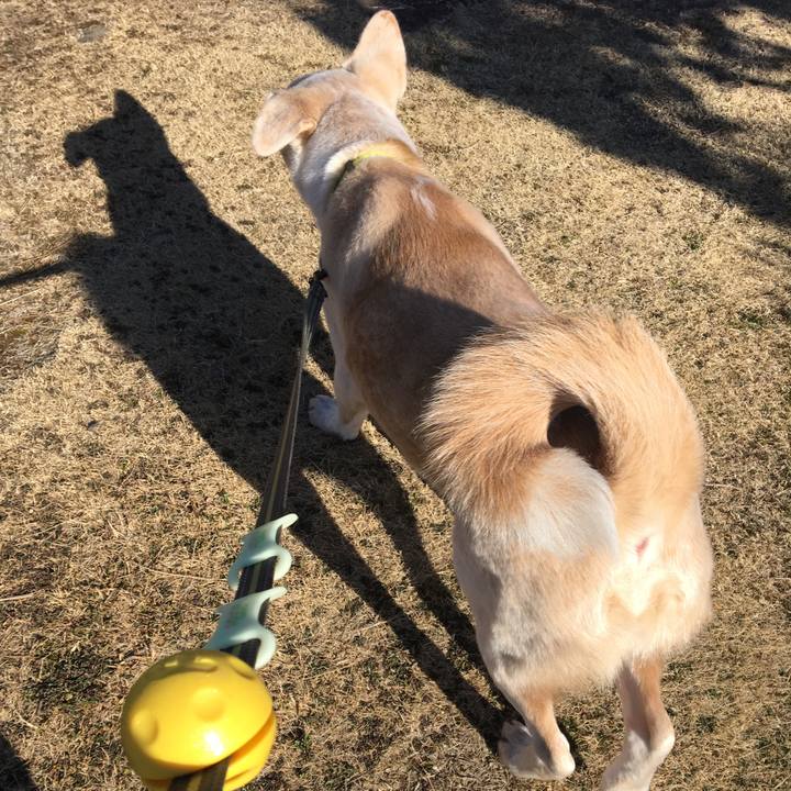 E07b677b 8396 420a a17e 5899fbf29f07