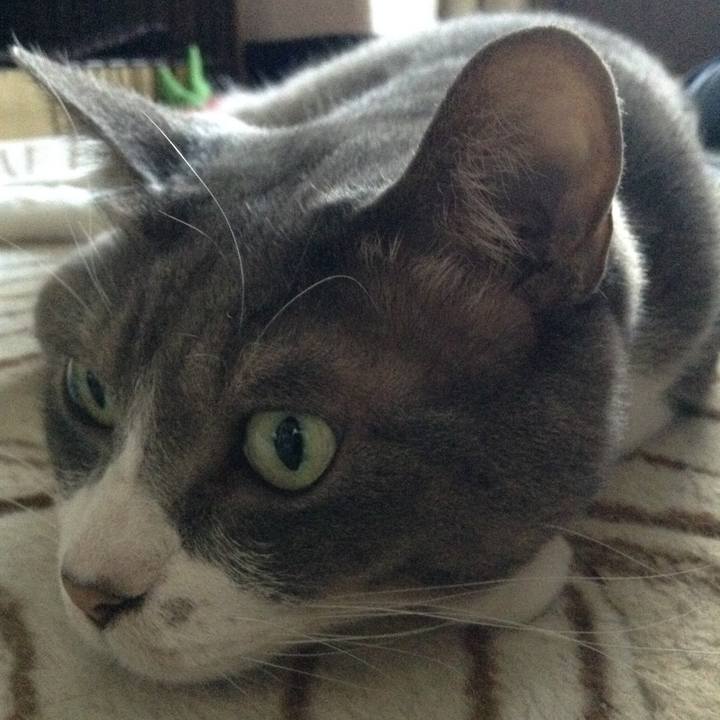 E07ba915 58b1 4990 b8f1 7a4bc28120ca