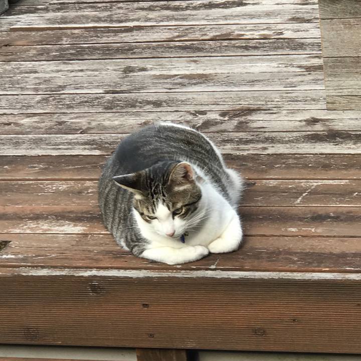 E07bb0a4 bd9e 4435 bacd 7875fcd4f199