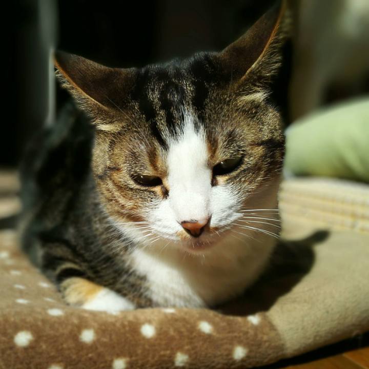 E07bba75 39d8 466a bc18 372db498afa8