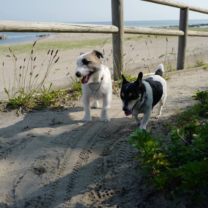 E07bdcbb c1c9 4e1e b308 6ae931647d81