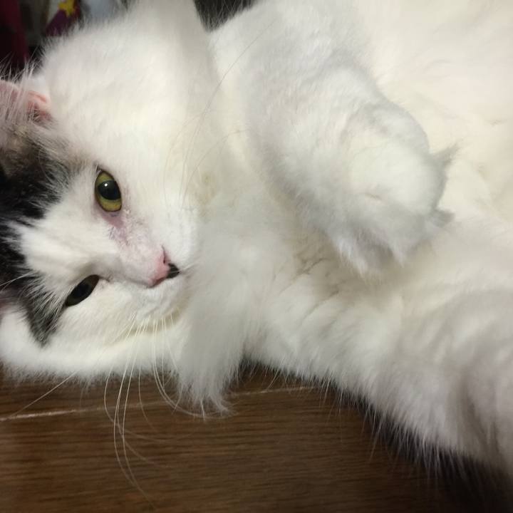 E07cdee2 9e4f 446a 93d0 004d6ea7461d