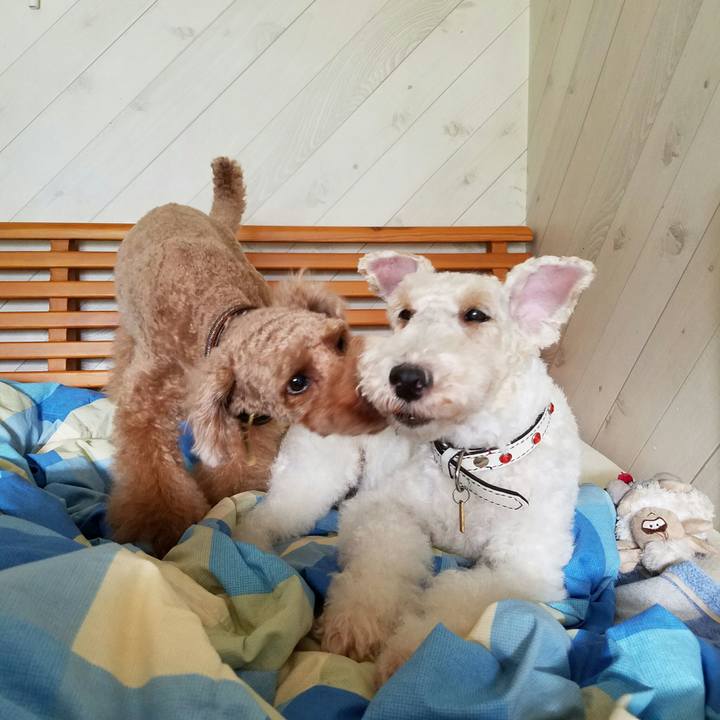 E07d8382 8c11 4f0c a9fd 46a17383e860