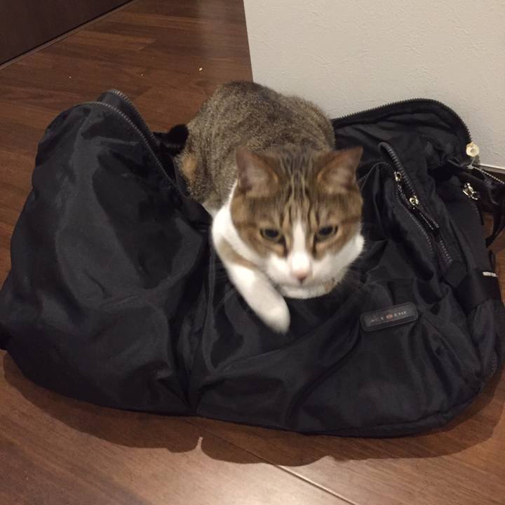 E07dfee0 7be6 48cb b13a 197f04dc75de