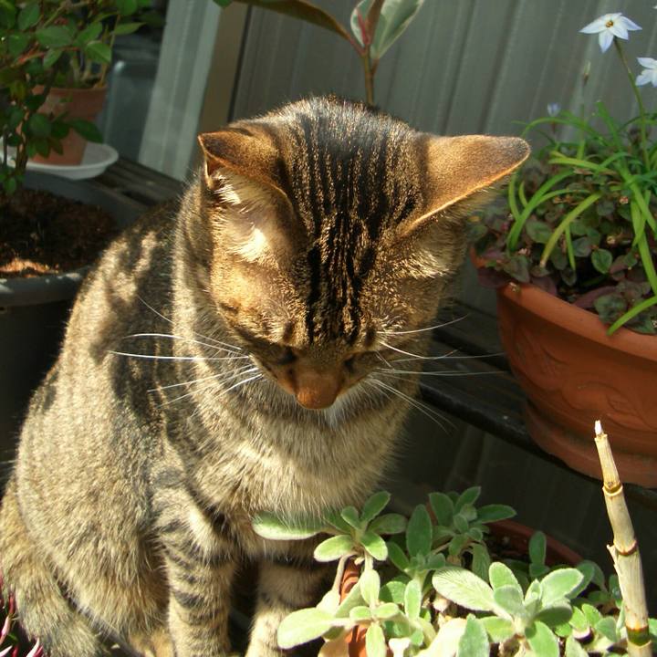 E07ea386 b640 468a b2ea 86efaf35ecfd