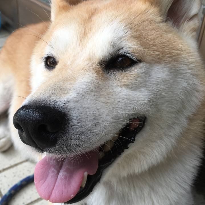 E07ef1c8 52c3 43c5 8c51 e25cca2db0a0