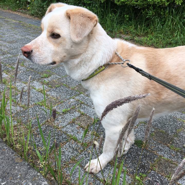 E07f9484 6dbf 4fdd 8700 857743d2a581