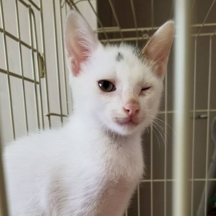 E07fb529 5d9f 47ee b1a4 298d0489e1d4