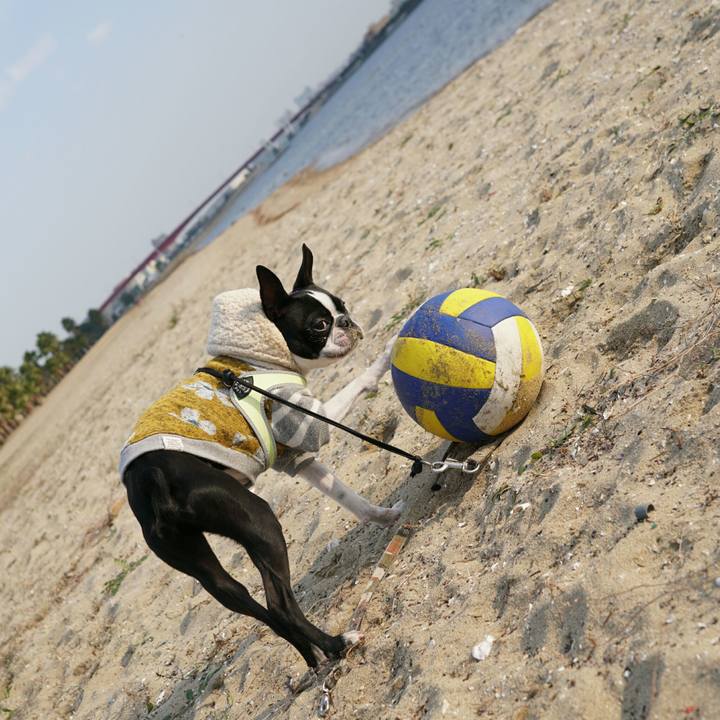 E07feb3e f036 409d 8e58 f73be5139265