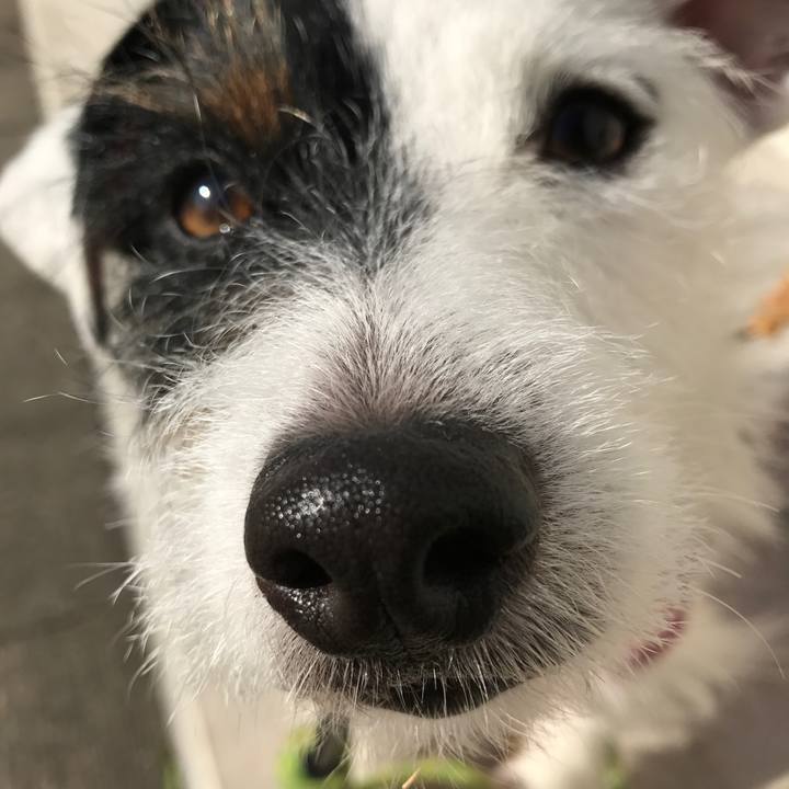 E0803f41 653d 40d0 ab35 1bbdaf968722