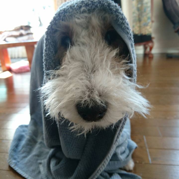 E080e961 d244 4fe8 b2fe 2c5515b696b4