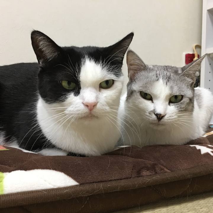 E080ffdf d510 4d3c a6f0 13d93d890ec3