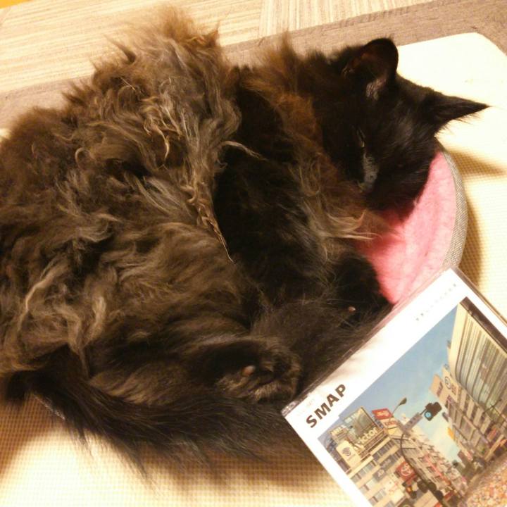 E08146ab 30f8 4a7f bdd8 087687bba201