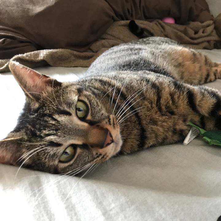 E0818cf4 dab0 4b46 8679 df993b91e492