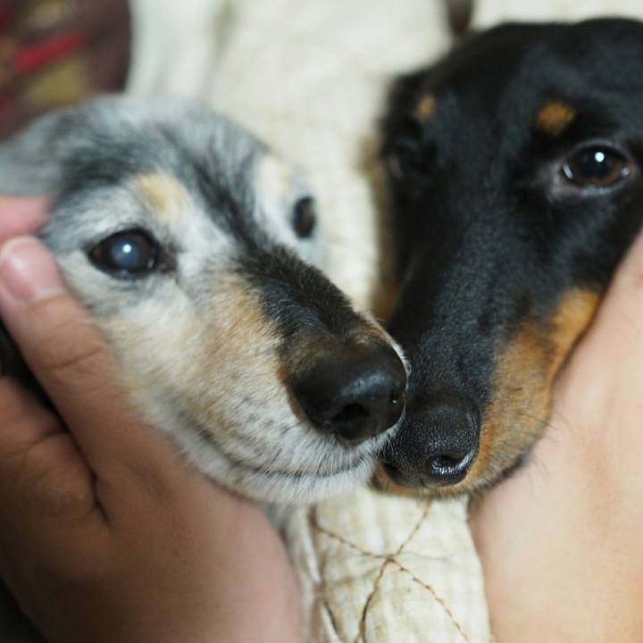 E08195aa 61f6 4521 bc9a 38d61661c95b