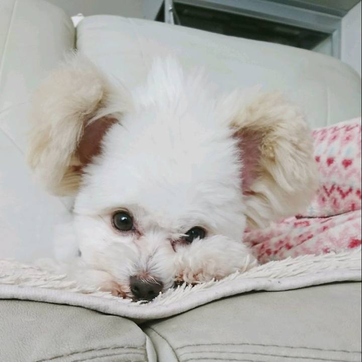 E08198e6 7430 432a b884 2335274ec56e