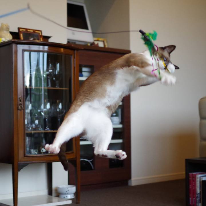 E081e459 bb15 40ac a8b7 6de5932c1a4a