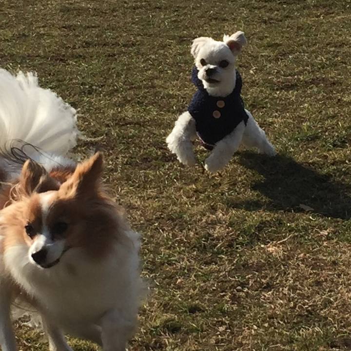 E0829b92 a4bc 4642 81d4 d83241d9b8fd