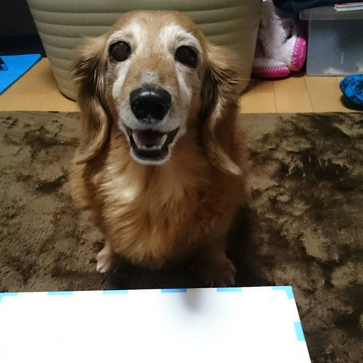 E082e10a 17d3 4e52 b4c1 e3ede389c214