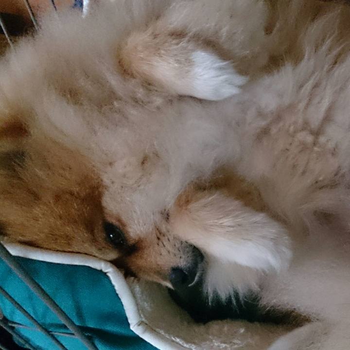 E082f4e1 2f06 4940 bd17 85272ea36b85